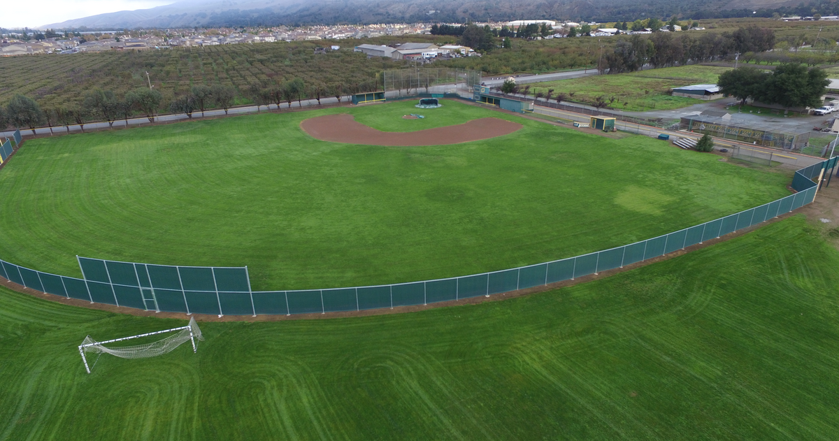 俺のmokkin hills field open_graph