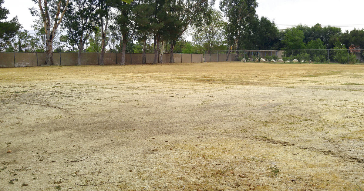 Rent Field - Practice 2 in Rialto