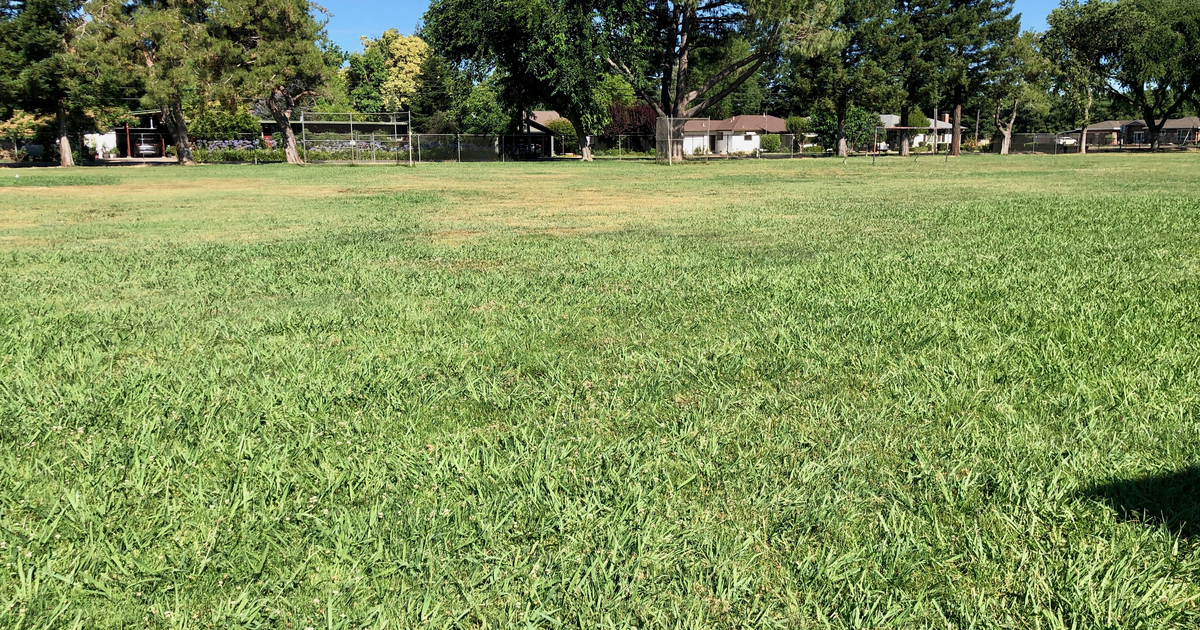 Rent a Field (Medium) in Linden CA 95236