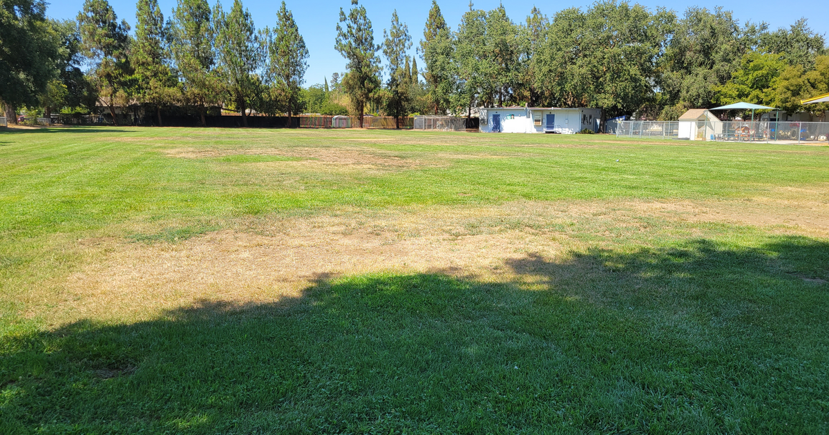 Rent Field - Practice 1 in Woodland