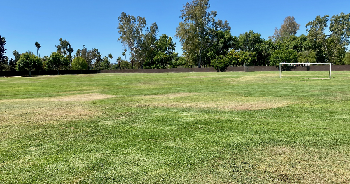 Rent Field - Practice in Riverside