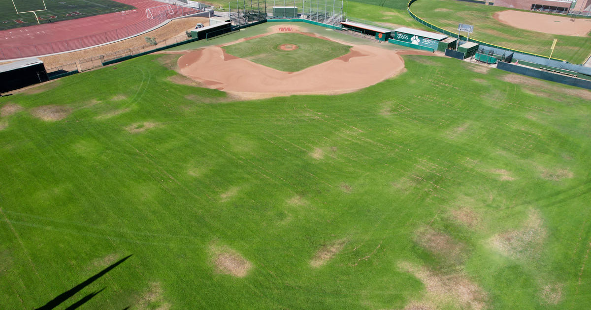 Rent Field - Baseball in Riverside